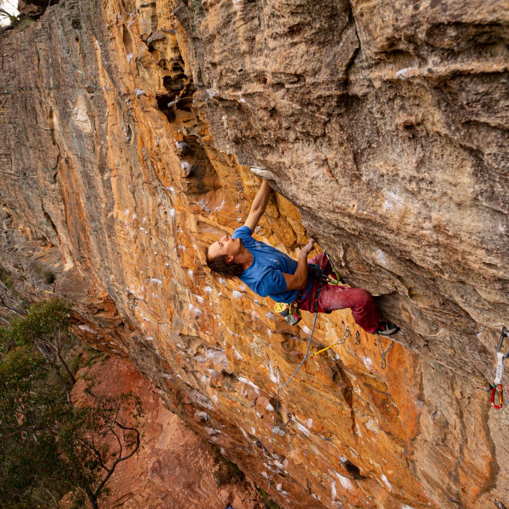 Boronia Point